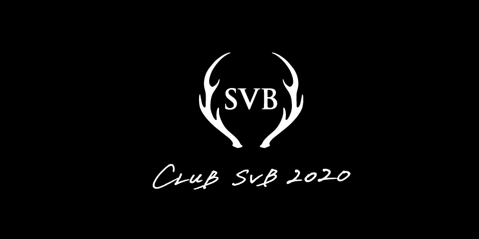 BRAND IDENTITY DESIGN 6