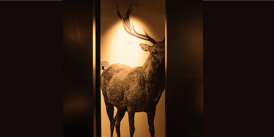 SIGN & GRAPHIC (Inside) 8